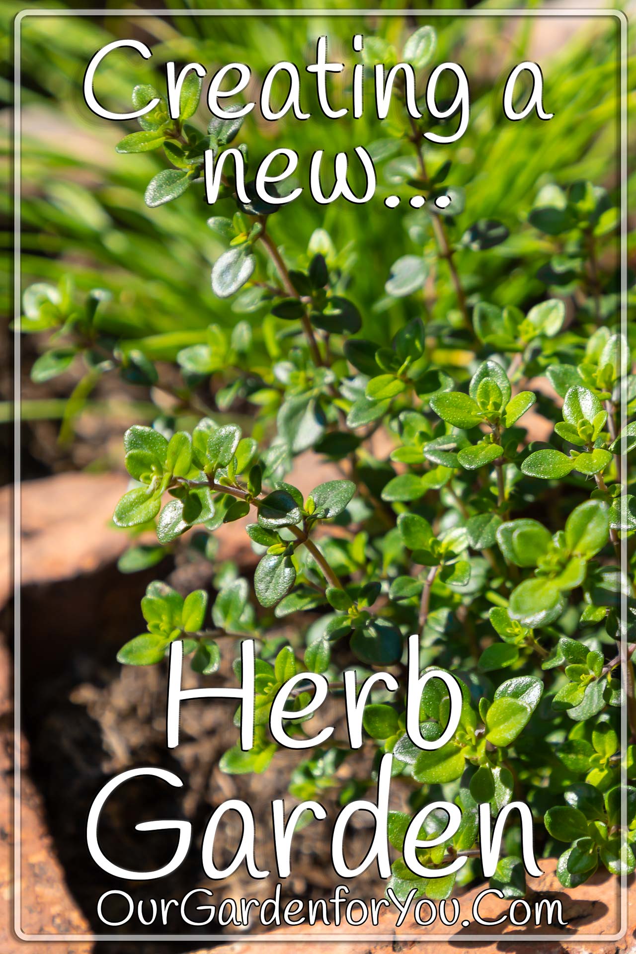 The Pin image for our post - 'Creating a new herb garden '