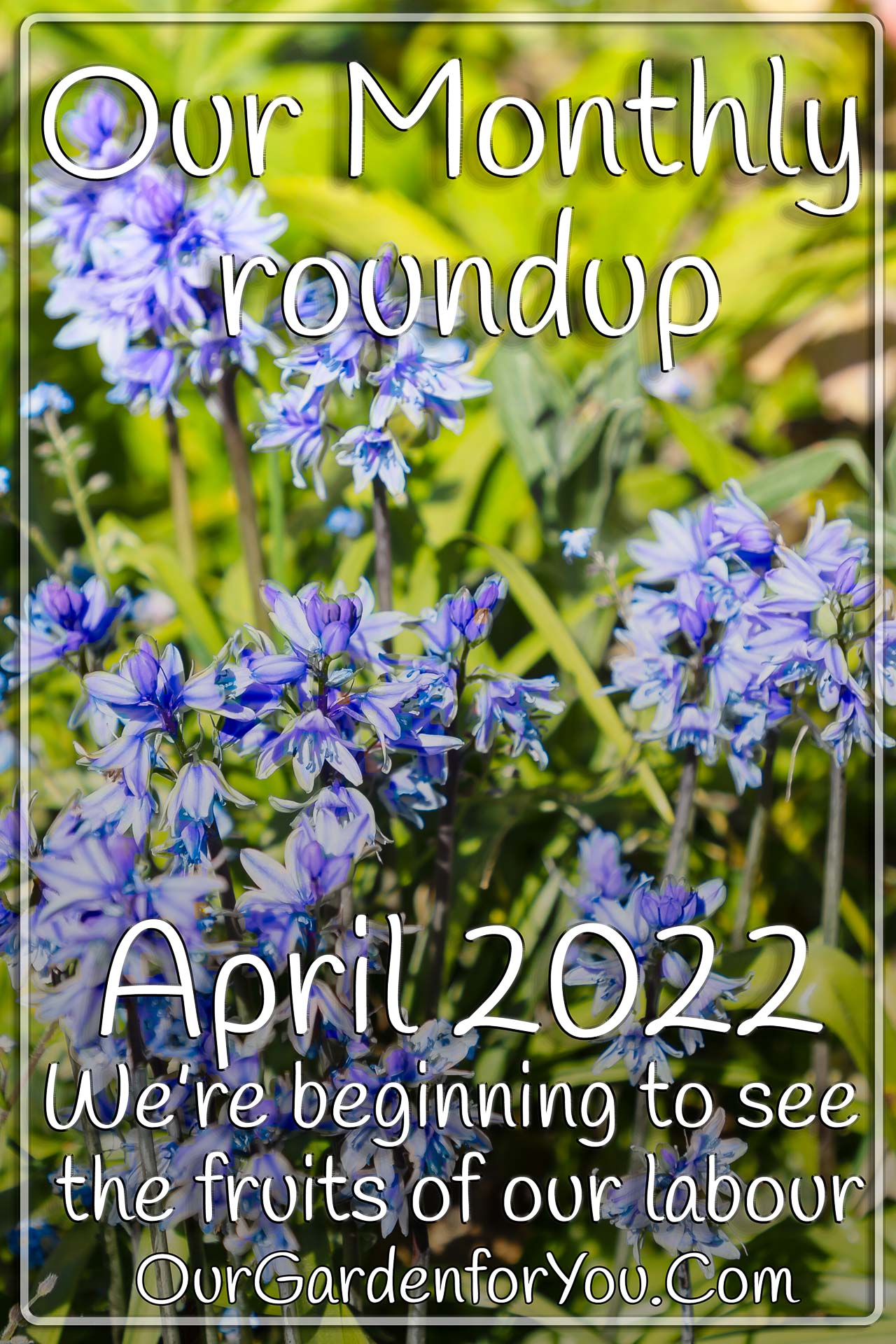 The Pin image for our post - 'Our Garden for You monthly roundup - April 2022, We’re beginning to see the fruits of our labour'