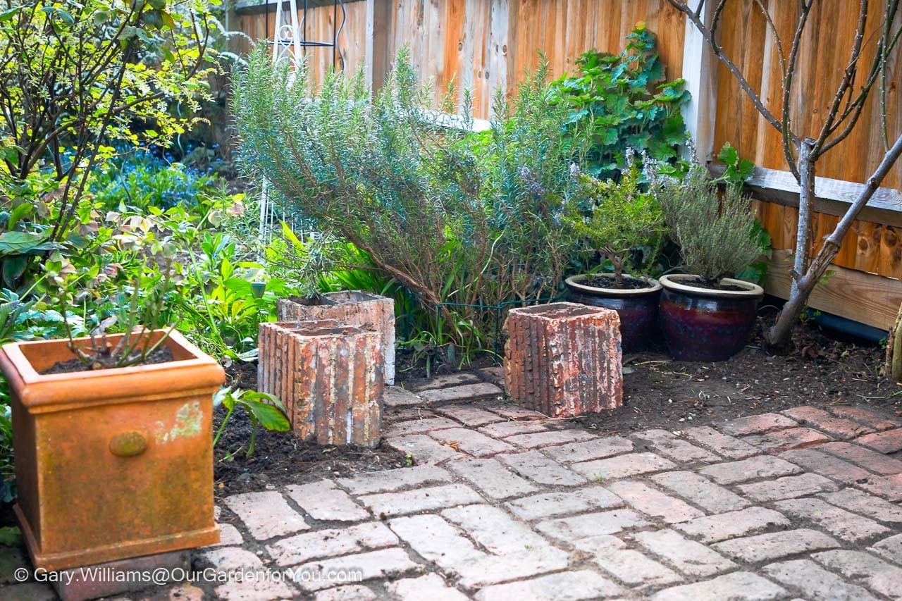 The small section of our garden, just off the courtyard patio, that is now home to the herb garden, before being planted out.