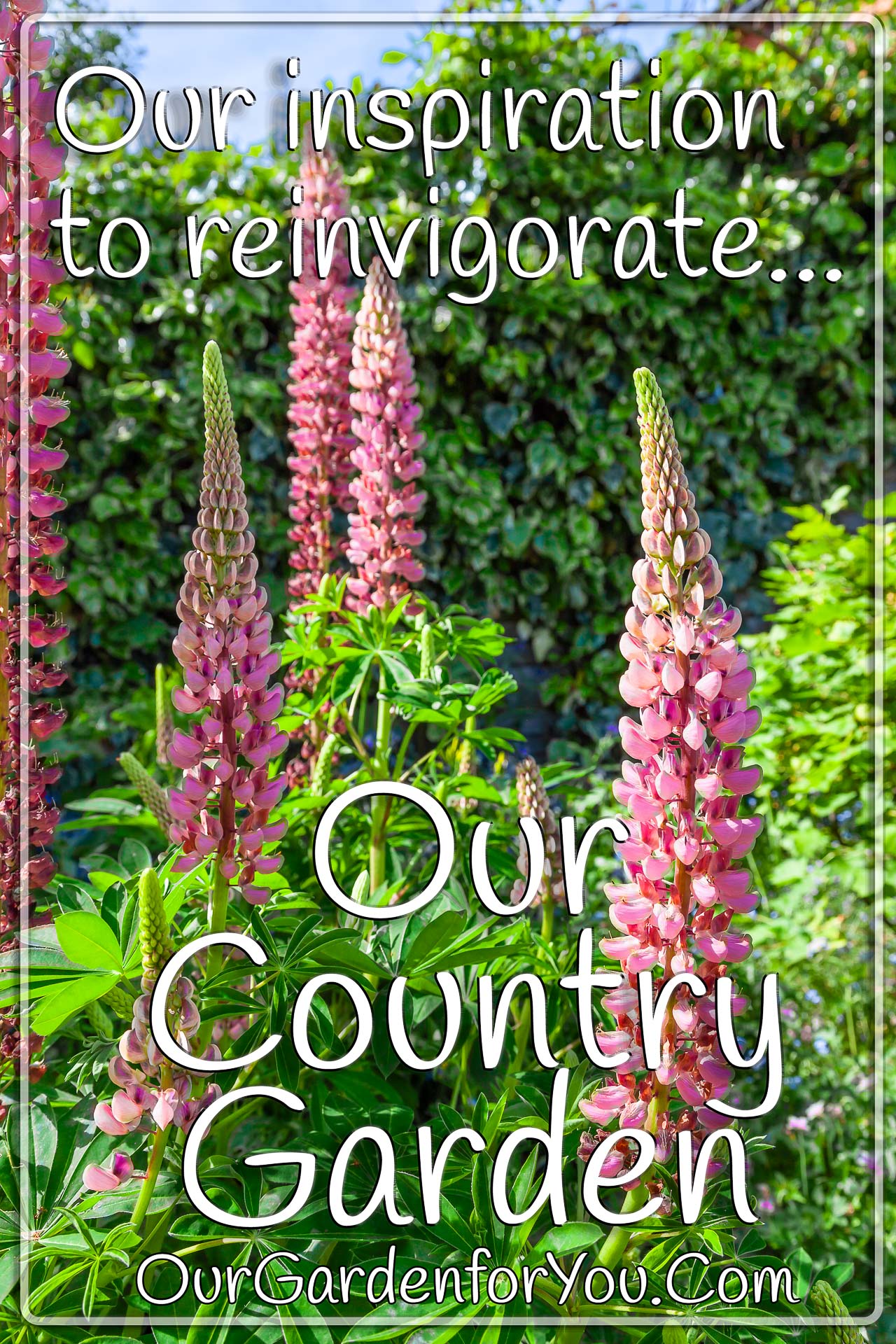 The Pin image for our post - 'Our inspiration to reinvigorate our country garden'