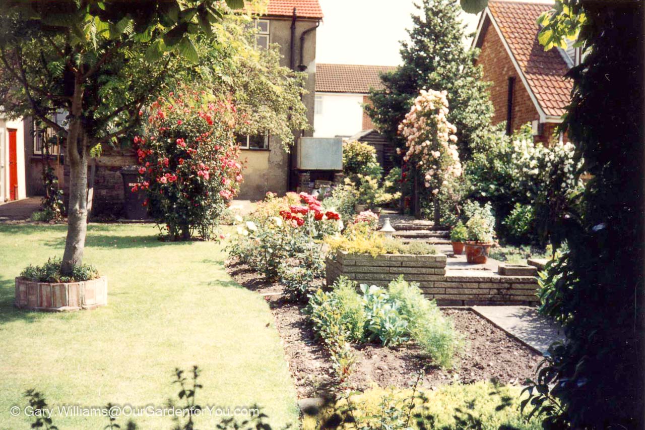 Featured image for “The history of Our Garden”