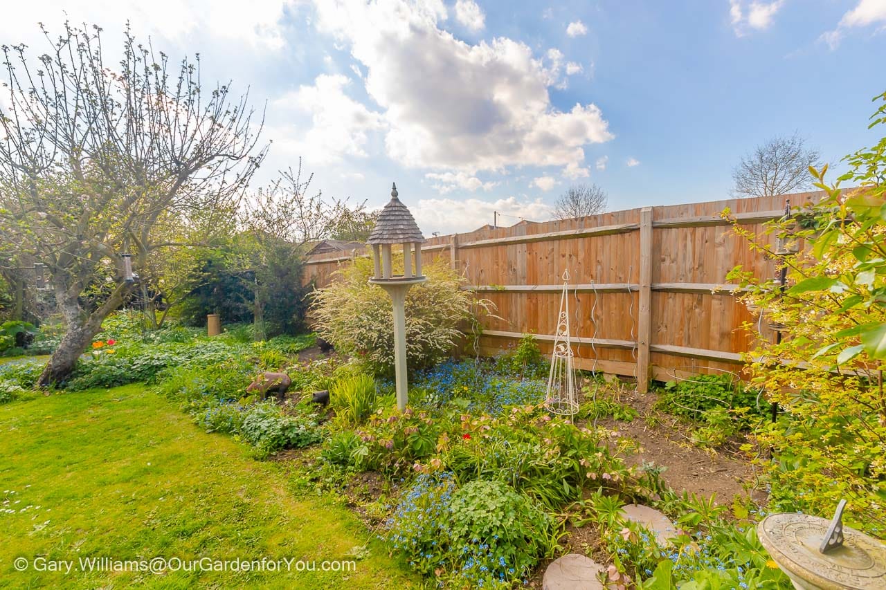 The Cottage Garden bed with around half dug over and prepared for new plants to be added