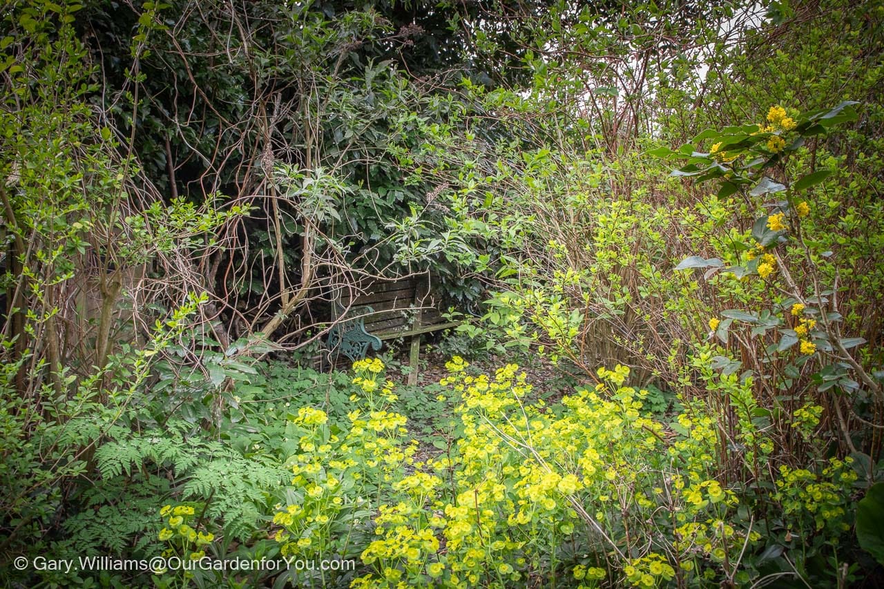 A barely detectable path leads into the heavily overgrown Secret Garden section of our plot