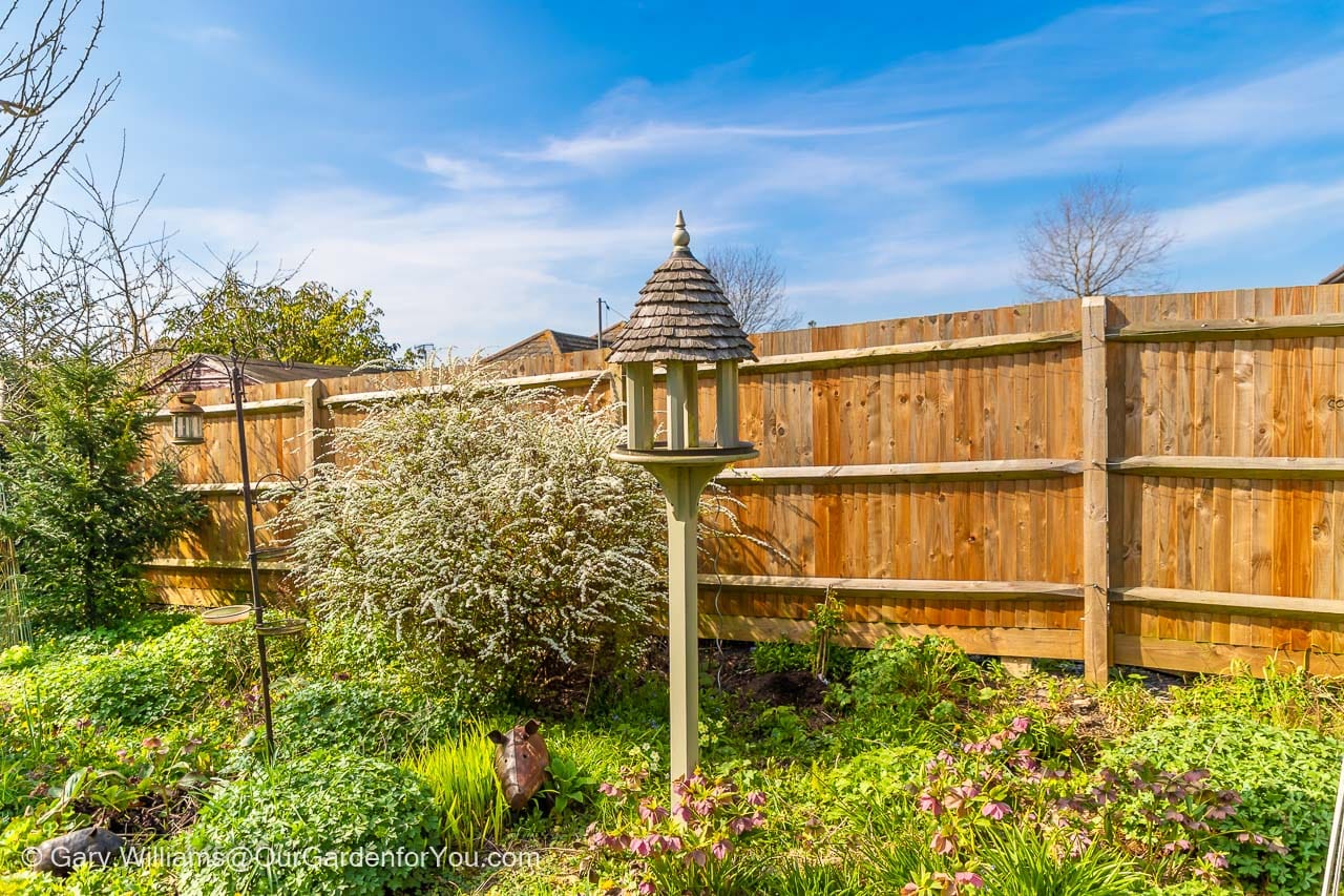 The bird table in front of a plain wooden fence in the lush green cottage garden bed of Our Garden