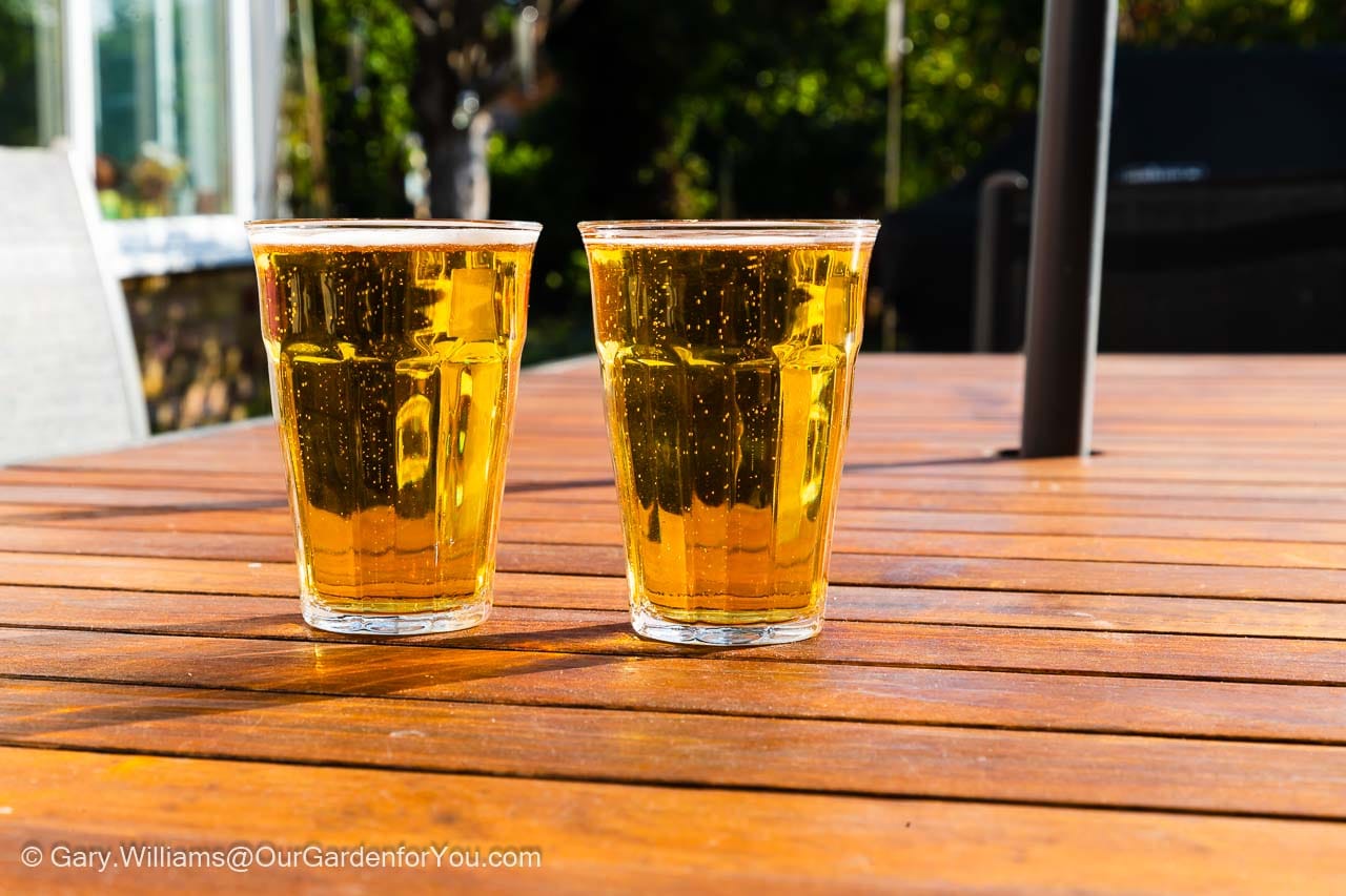 Two small glasses of beer on the Courtyard Patio at the end of May to toast a good month's work in our English Country Garden