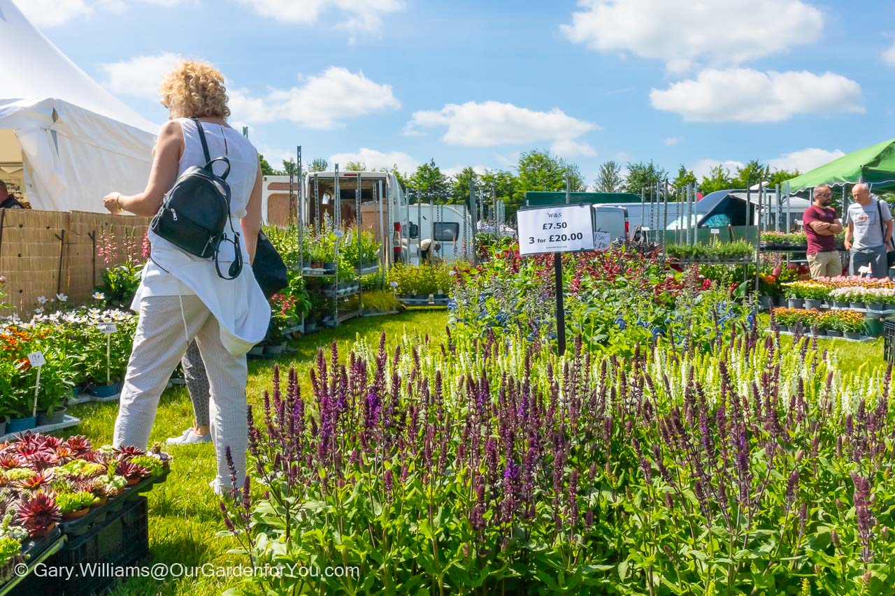 A lady browsing the plants at a stand at the Kent Garden Show