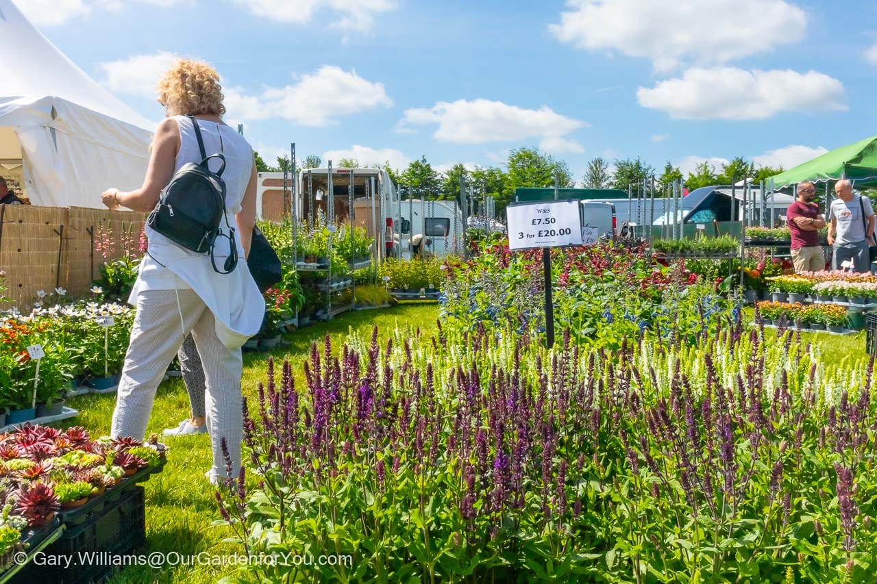 Visiting the Kent Garden Show Our Garden for You