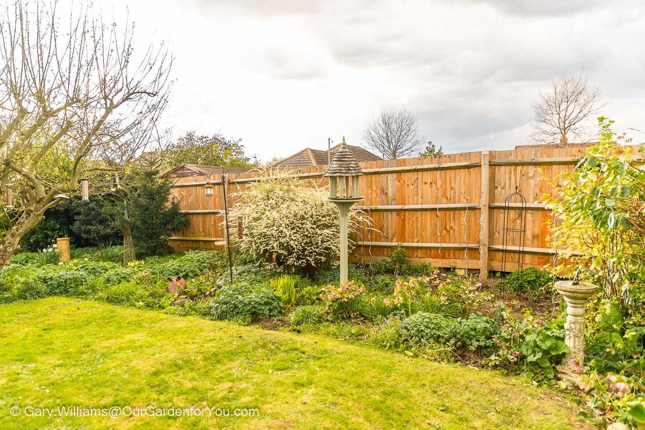 The cottage garden bed thinned of overrun planting