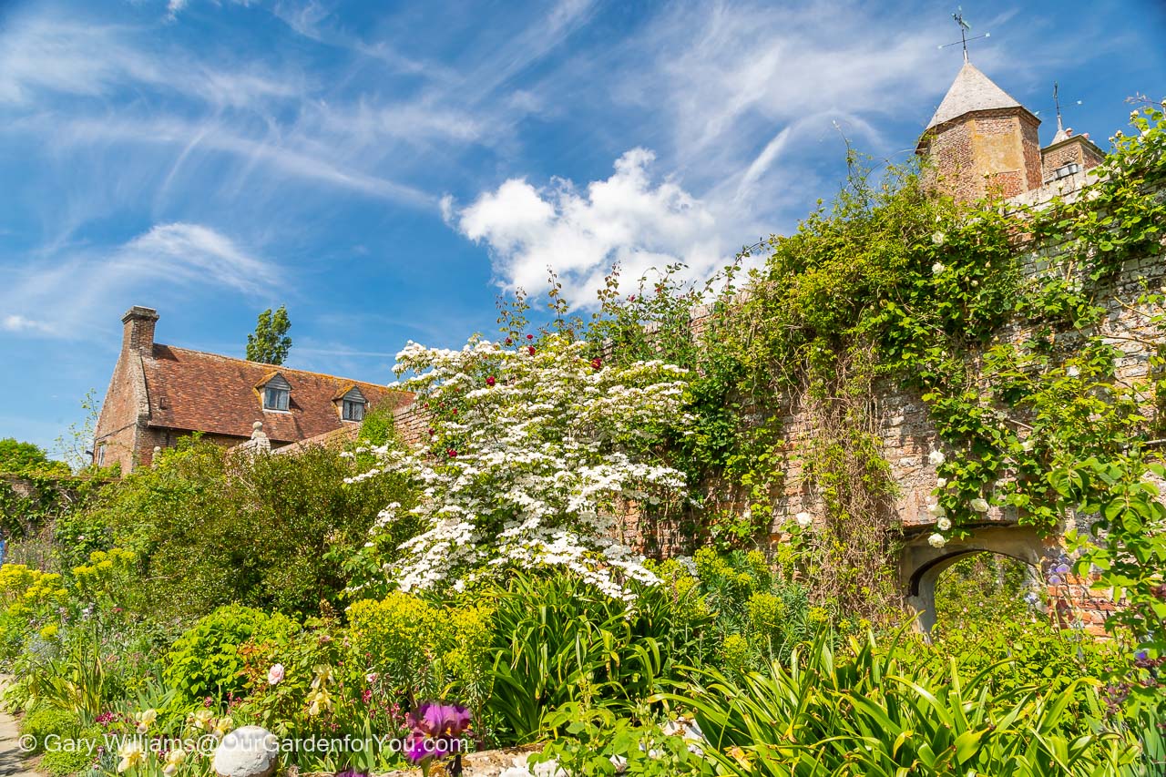 A mass of planting against the walls of the Sissinghurst Castle Gardens