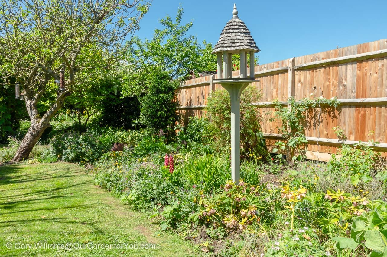 The cottage garden bed in May 2022 starting to fill out with a variety of different plants