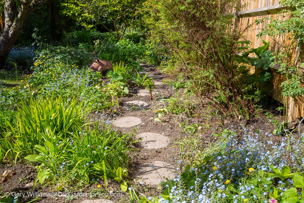 A pathway made of concrete timber stepping stones weaving their way through our cottage garden bed