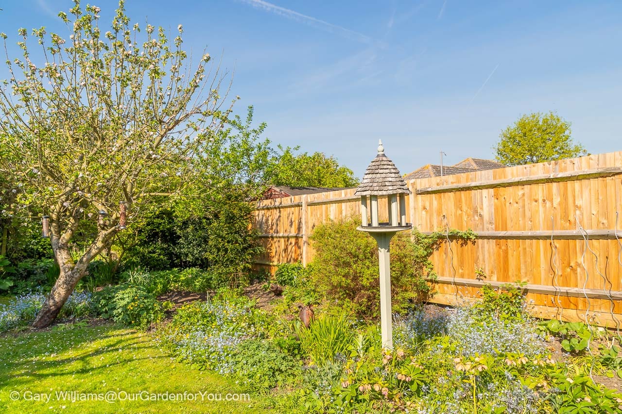 The cottage garden bed cleared of excess planting and weeded