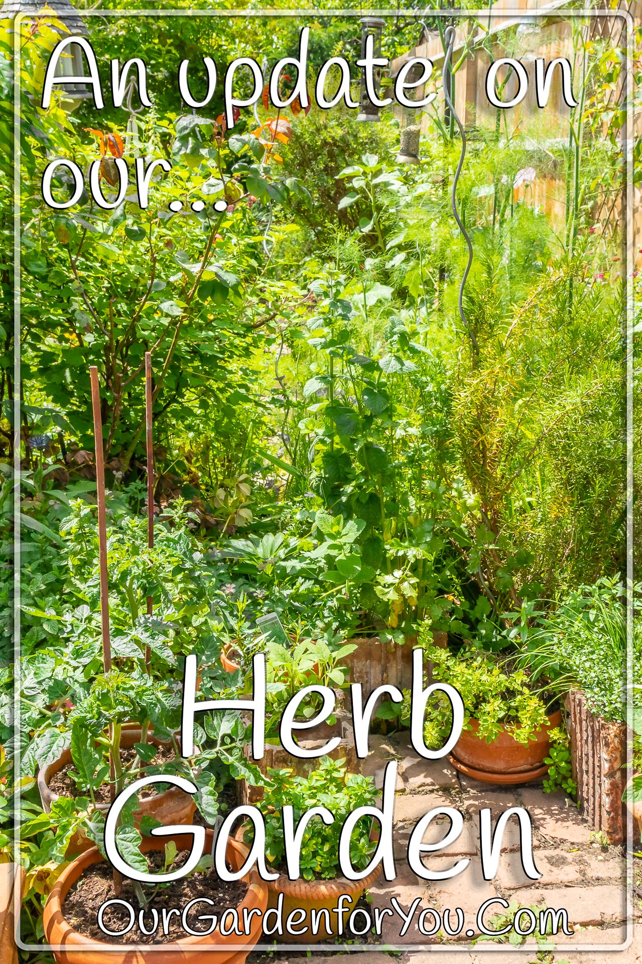 The pin image for our post - 'An update on our ‘herb garden’ '