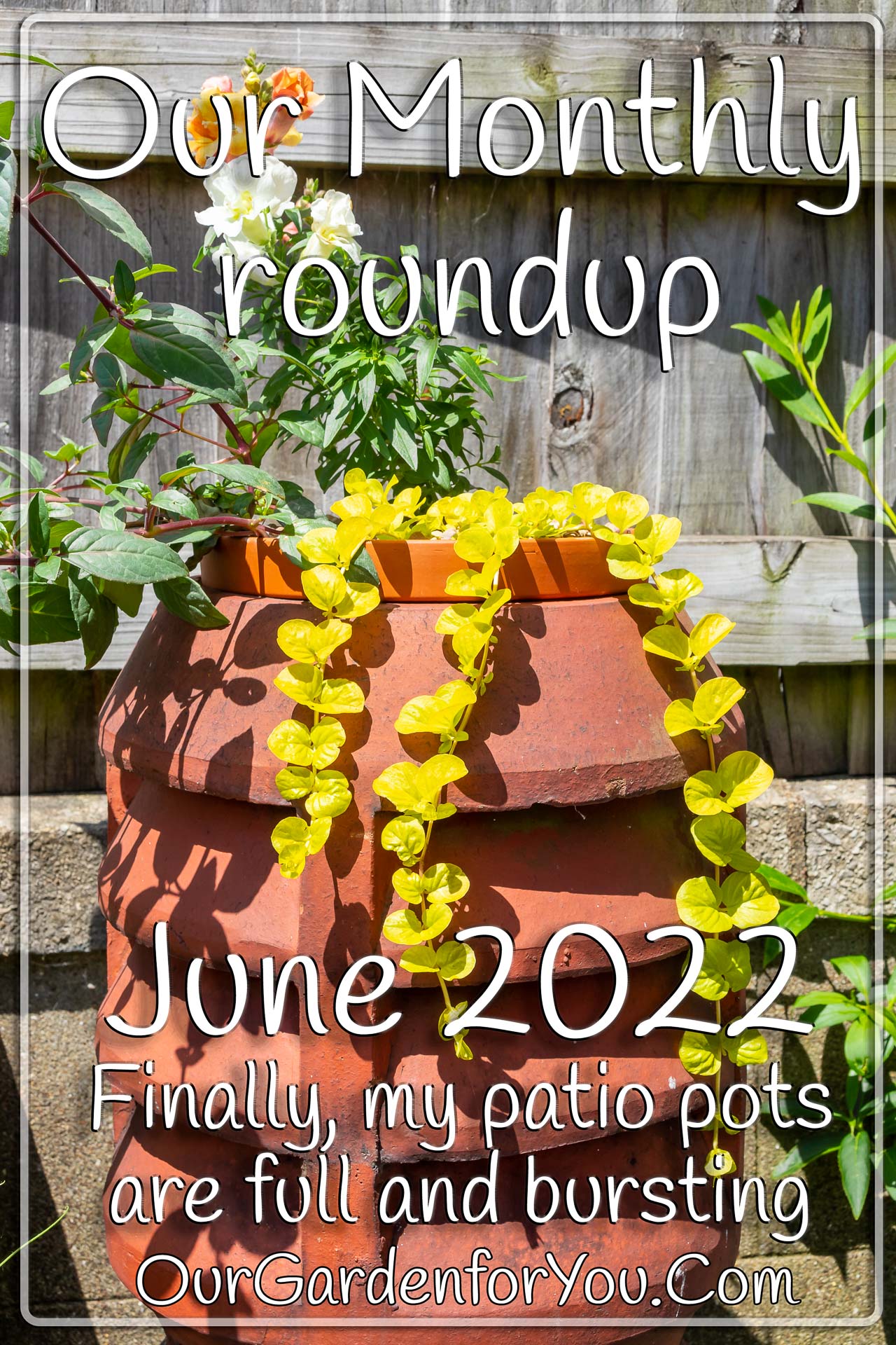 The pin image for our post - 'June 2022, Our Garden for You monthly roundup'