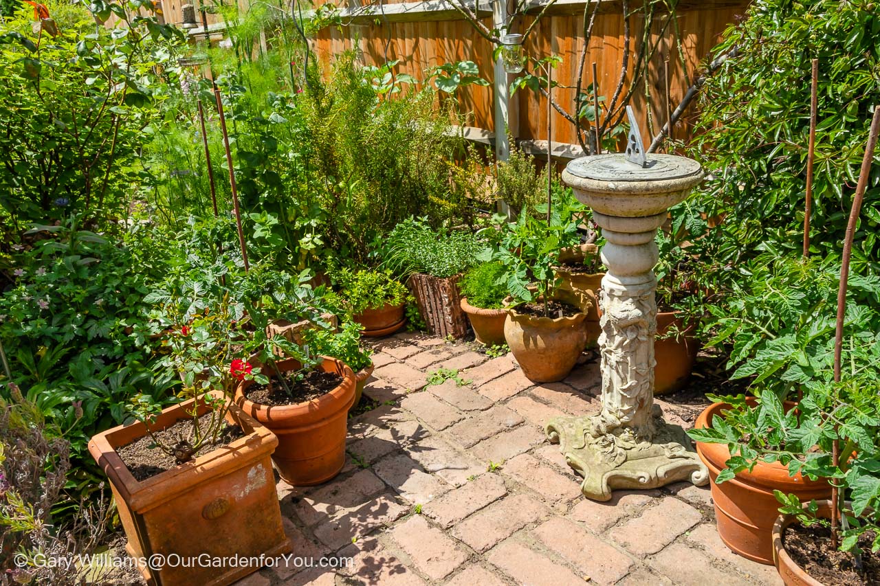A sundial stands at the edge of our outdoor herb garden with a mix of potted and planted herbs.