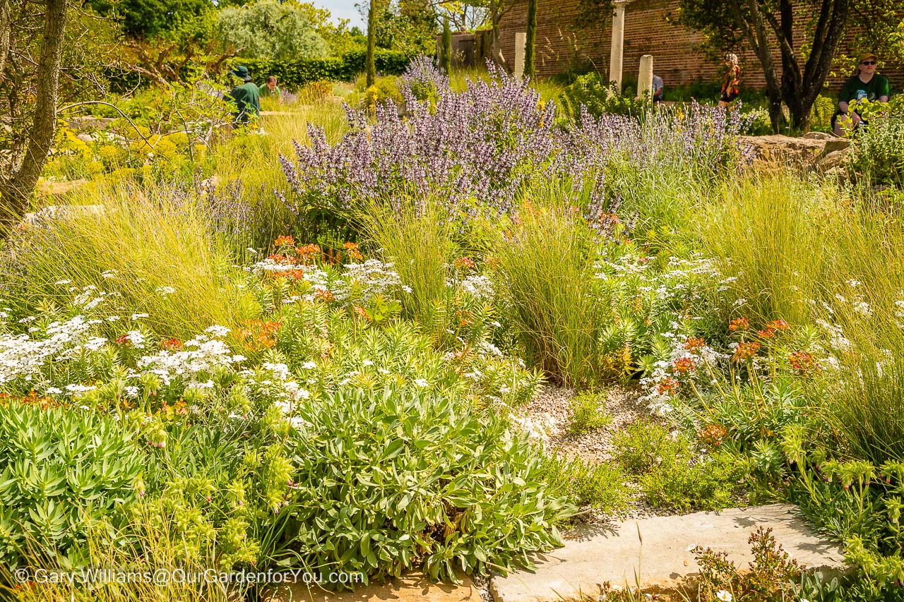 A mixture of Mediterranean planting with whites, oranges & purples against a backdrop of shingle and stone in the Delos Garden in the Sissinghurst Castle Garden in Kent.