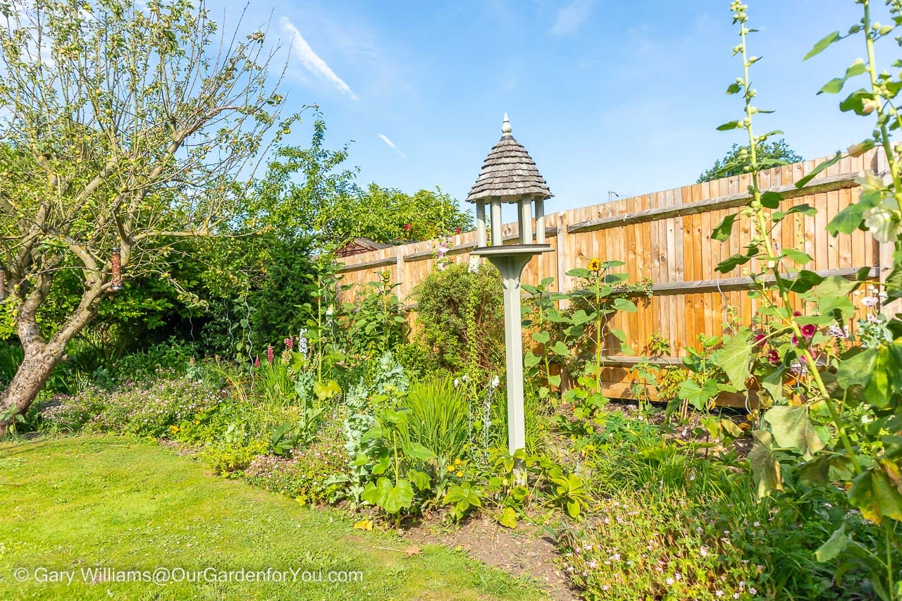 Our English cottage garden with a mix of planting filling out more as summer arrives.