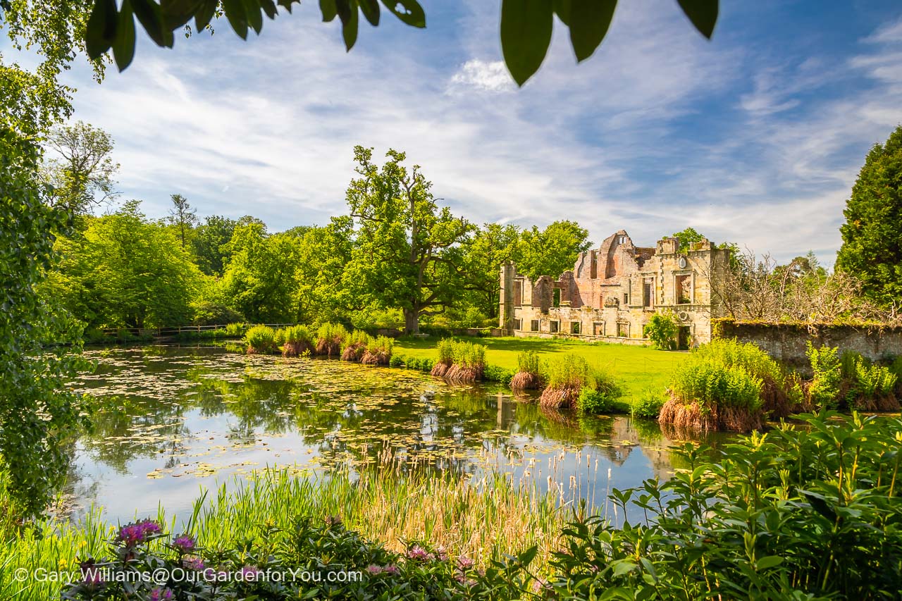 Featured image for “Exploring the spring gardens at Scotney Castle”