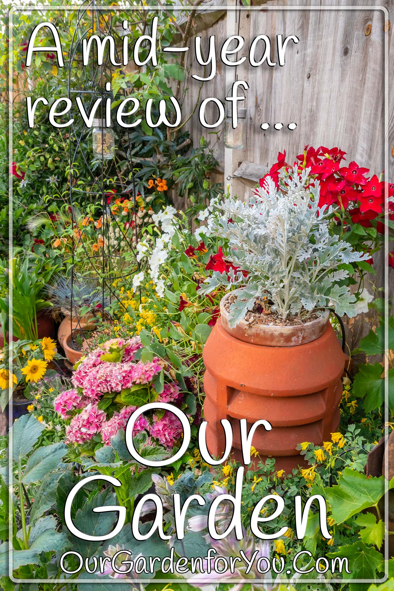 The pin image of our post - 'A mid-year review of our garden'