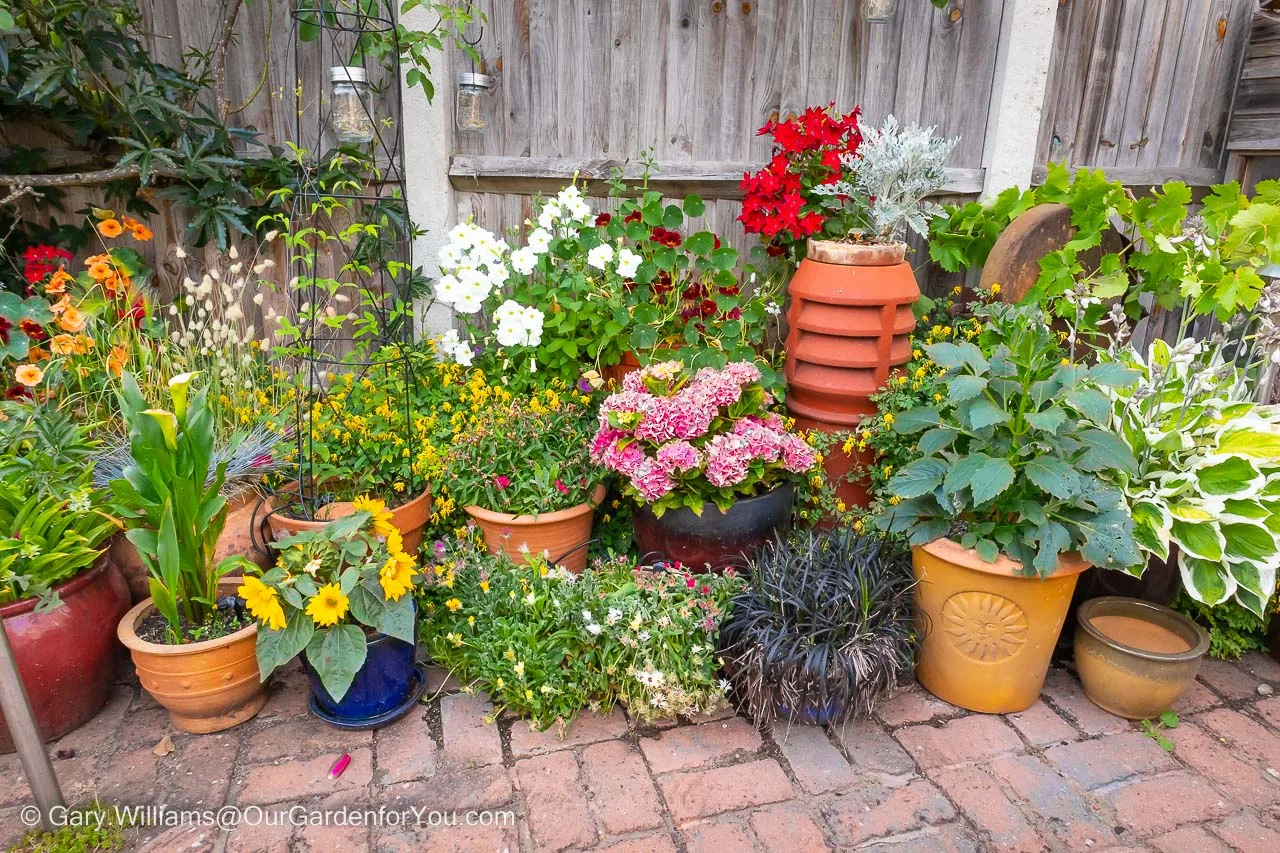One side of the patio with potted plants in bloom as a result of the home irrigation system