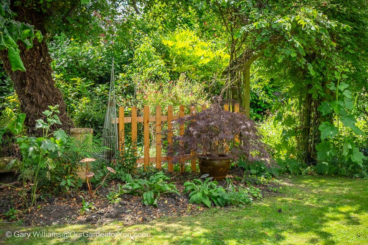 The small semi-circular shady bed at the end of the lawn with a picket fence, next to the arch to the secret garden.