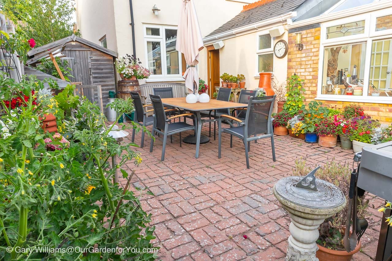 Our courtyard patio, from between the tomato plants on the edge of the herb garden corner across the blooming sea of flowering pots.