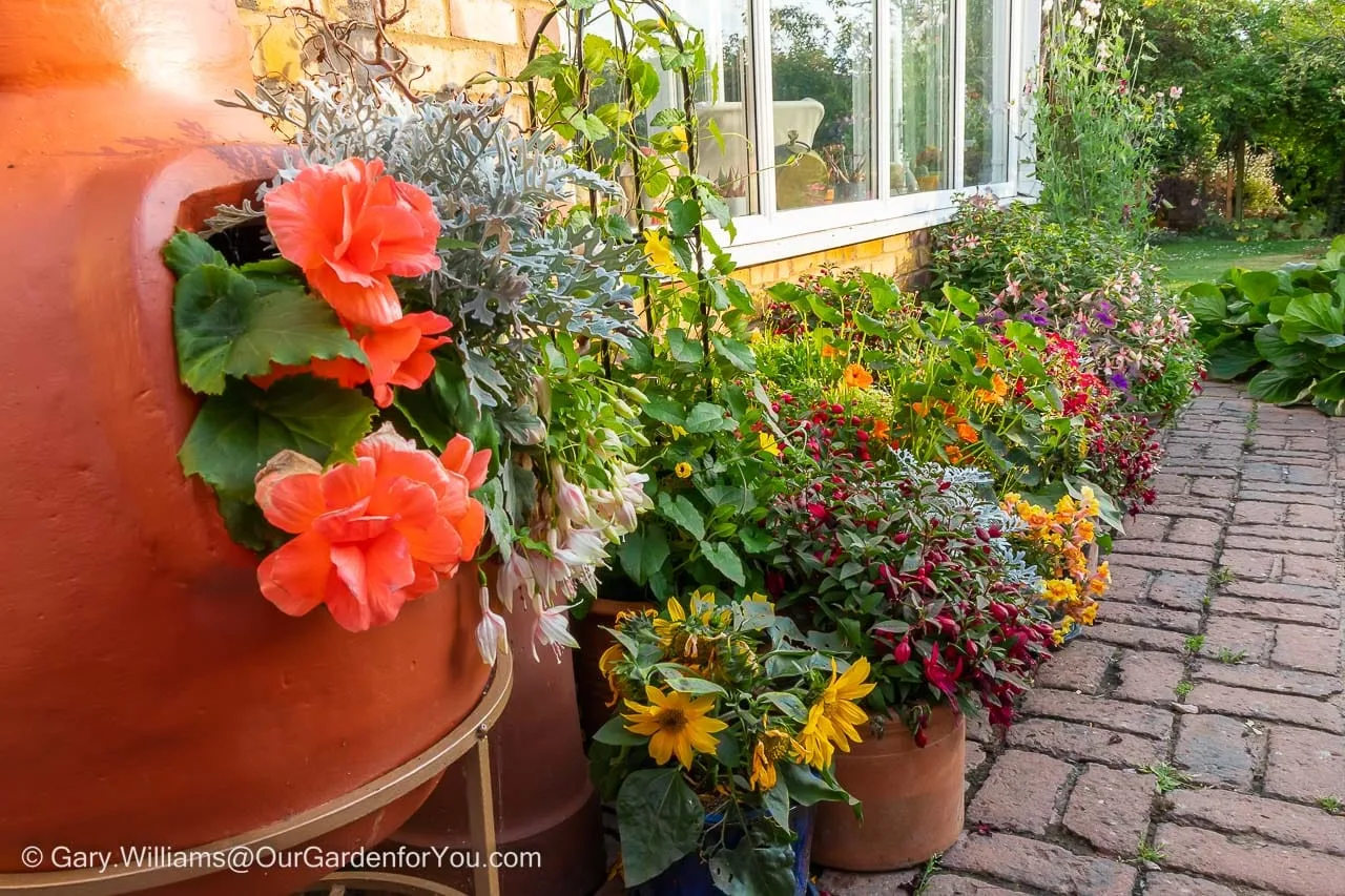 One side of the patio is lined up with flowers in bloom as a result of the home irrigation system