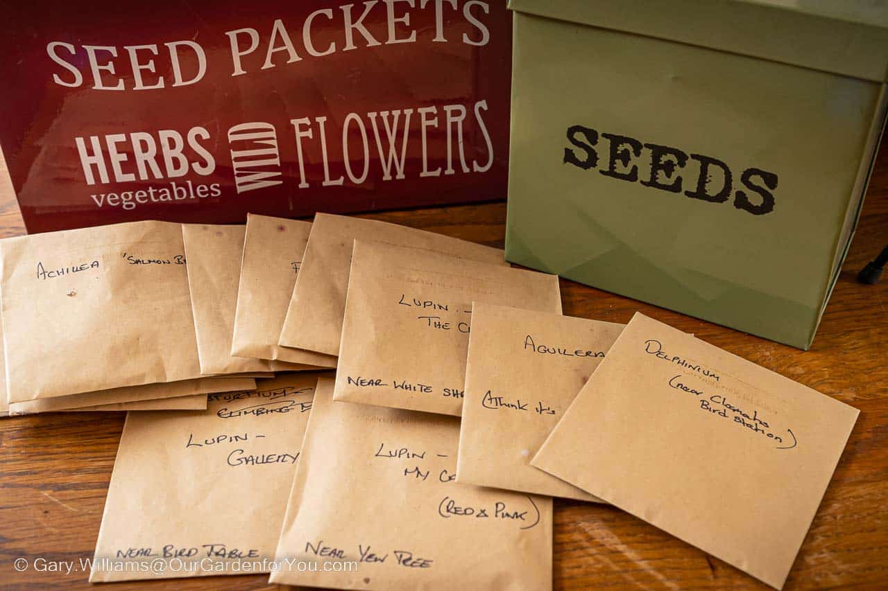 Little brown envelopes full of seeds collected from our existing plants in our cottage garden.