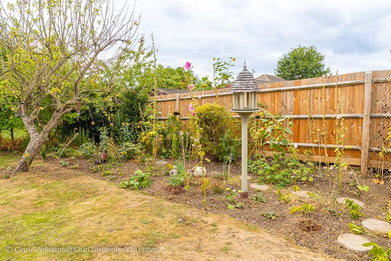 The cottage garden weeded, but showing a lot of exposed brown earth, allowing for more scope in garden planting for the future.