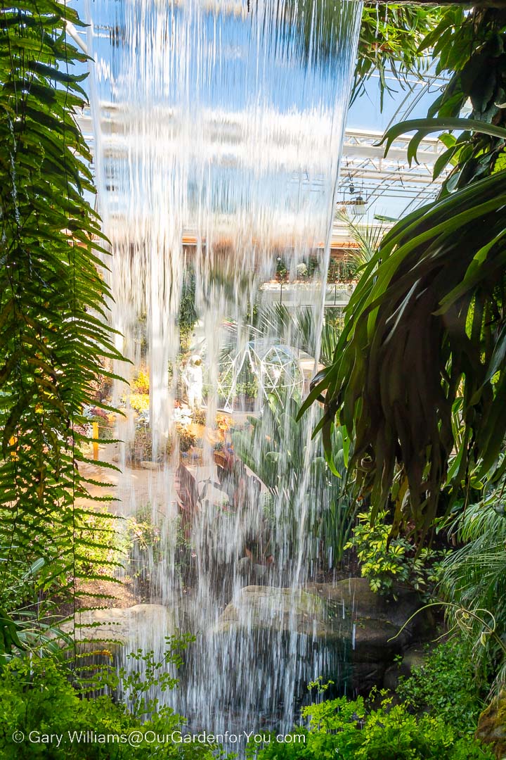 Looking through the waterfall inside the Glasshouse.