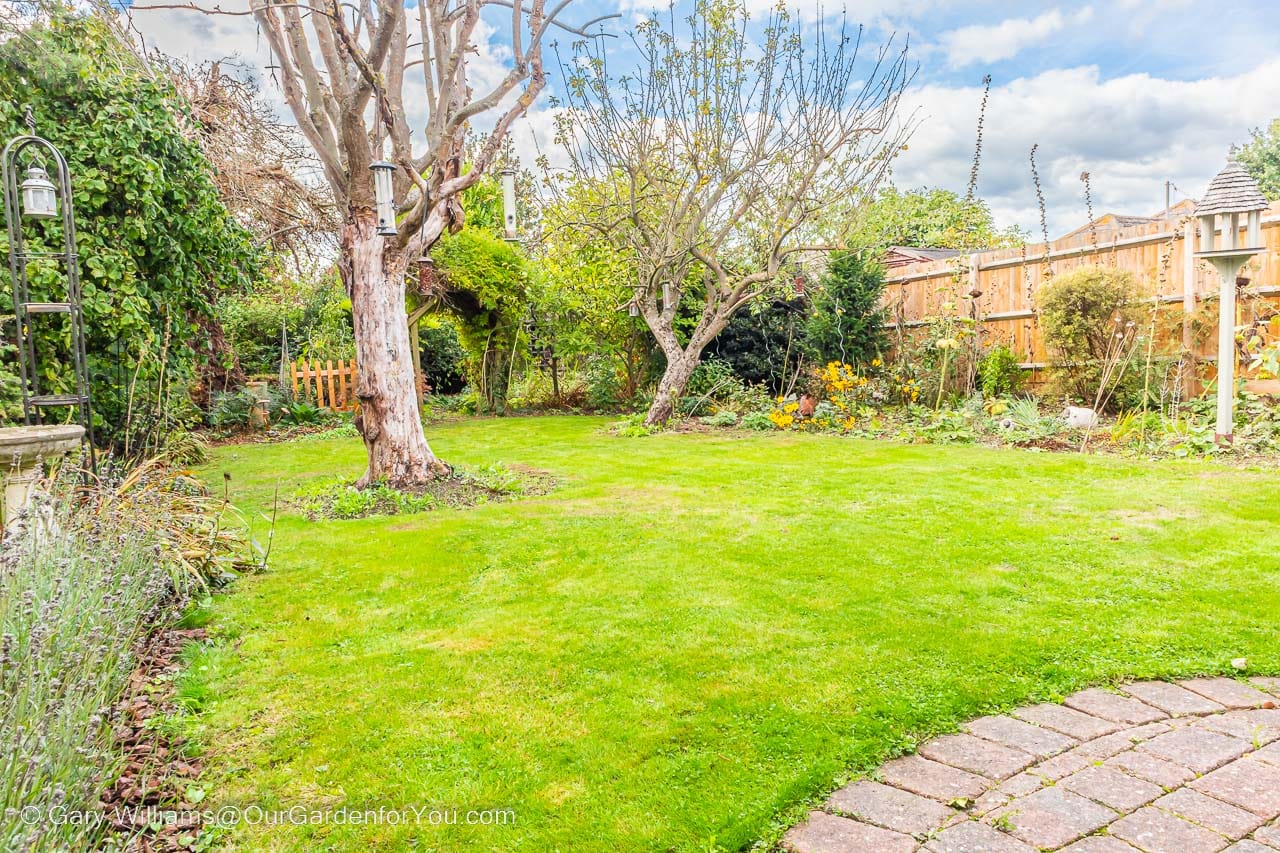 Our lawn, after a fresh cut with the Flymo EasiStore 340R