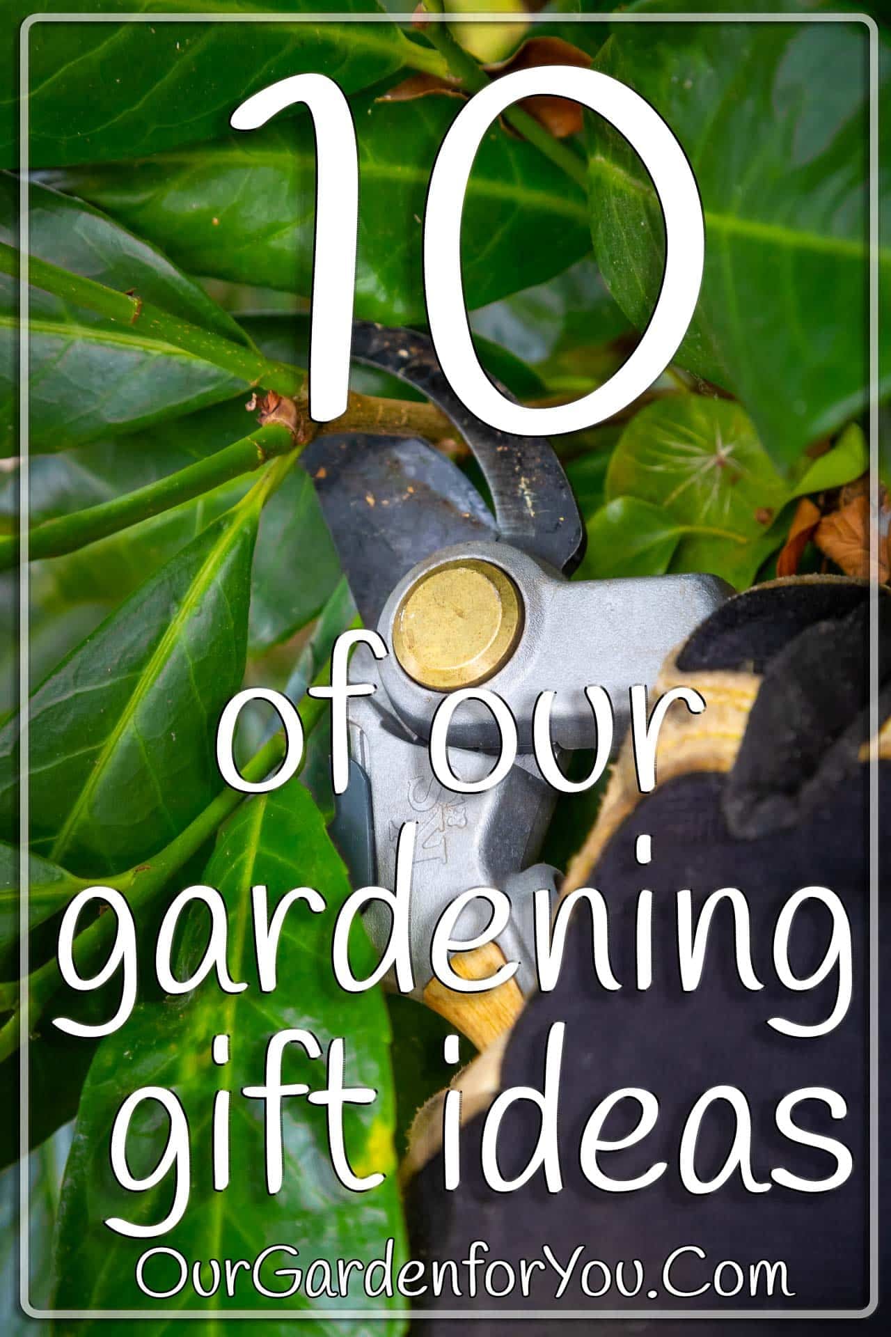 The pin image of our post - '10 of our gardening gift ideas'