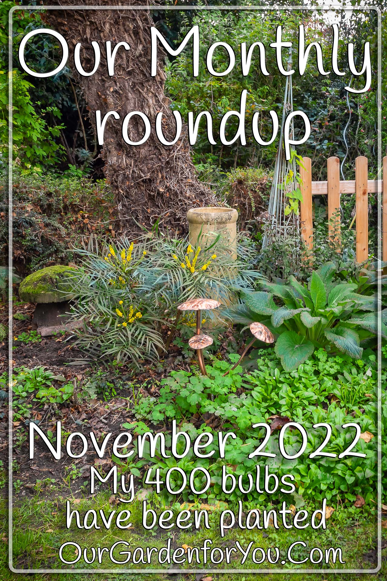 The pin image for our post - 'November 2022, Our Garden for You monthly roundup'