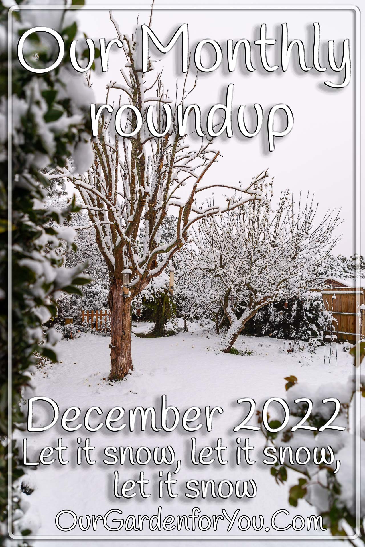 The Pin Image for our post - 'December 2022, Our Garden for You monthly roundup'