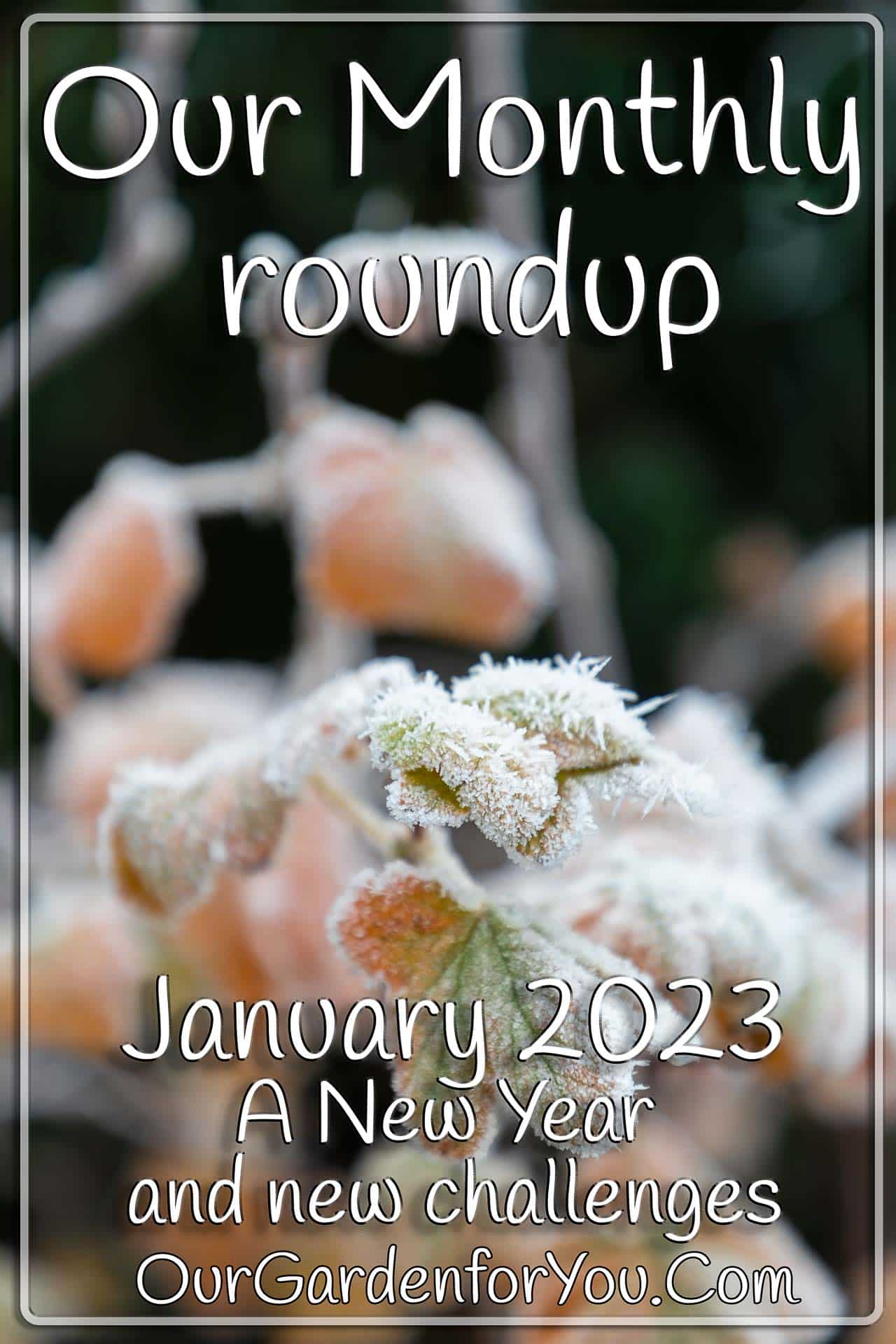 The pin image for our post - 'January 2023, Our Garden for You monthly roundup'