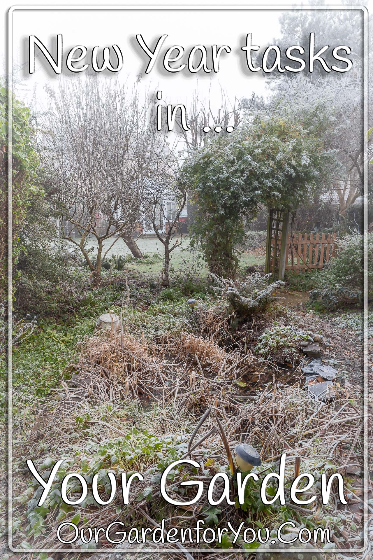 The Pin image for our post - 'New Year tasks in your garden'