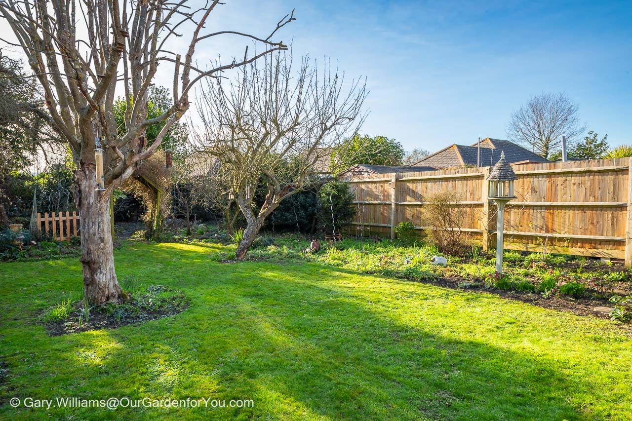 A view across the lawn after the first cut of the season in late february