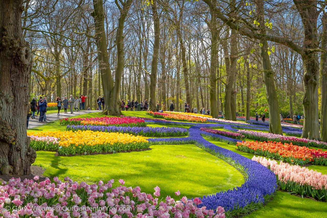 Featured image for “A spring visit to Keukenhof, Netherlands”