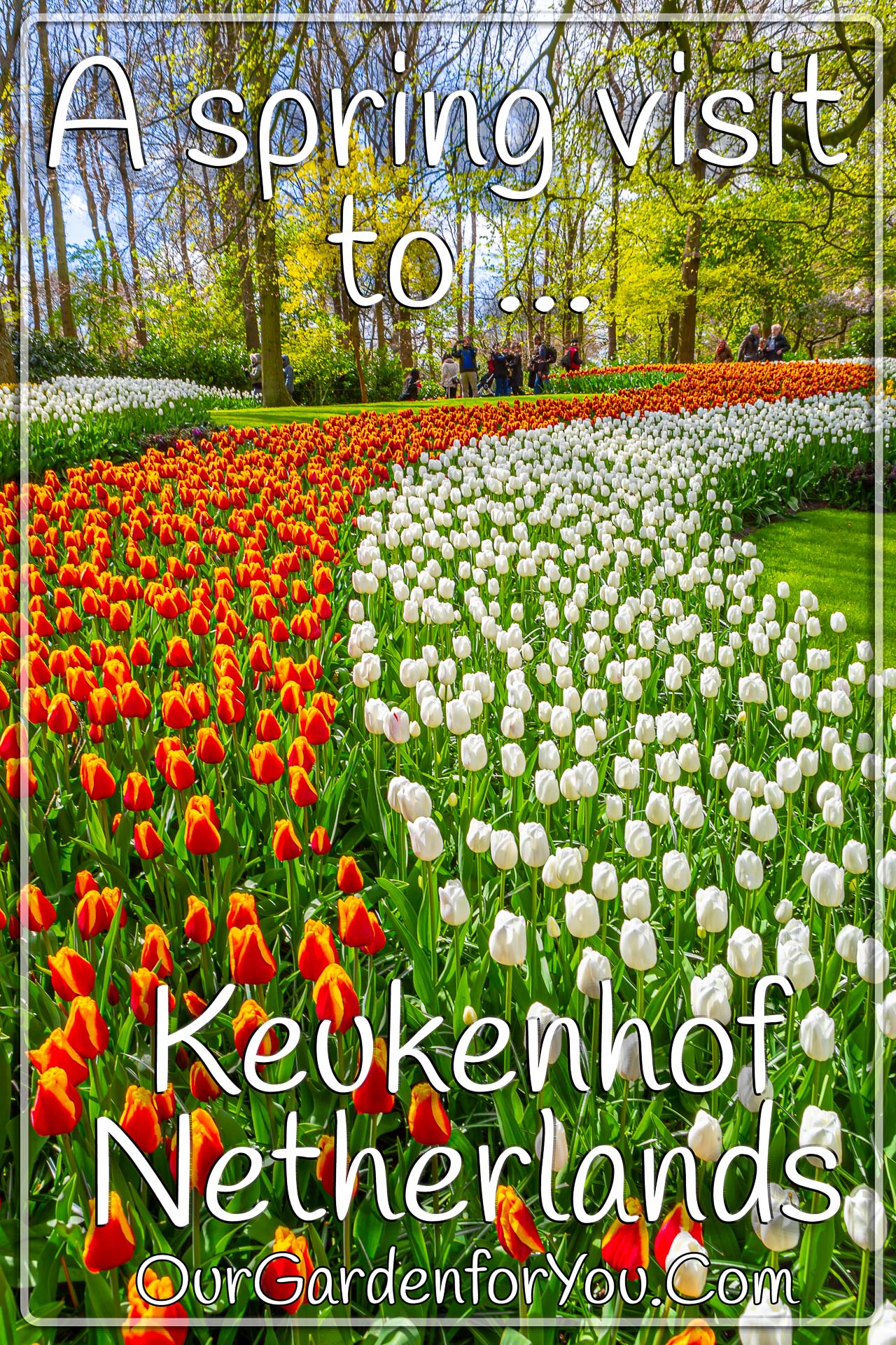 The pin image for our post - 'A spring visit to Keukenhof, Netherlands