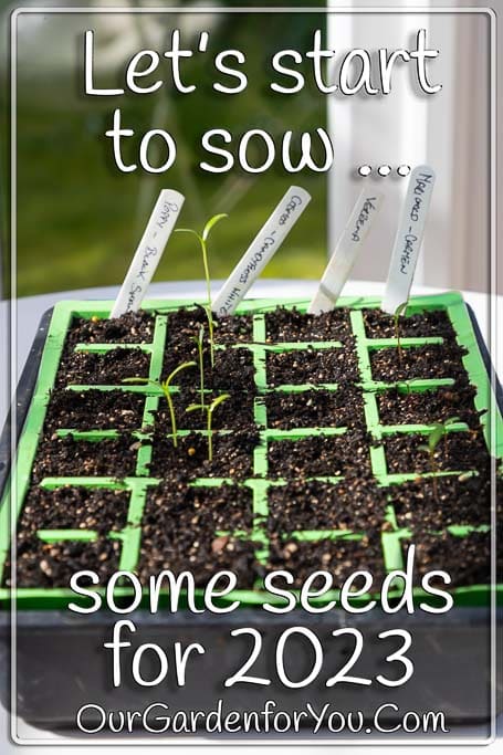 The pin image for our post - 'Let’s start to sow some seeds for 2023'