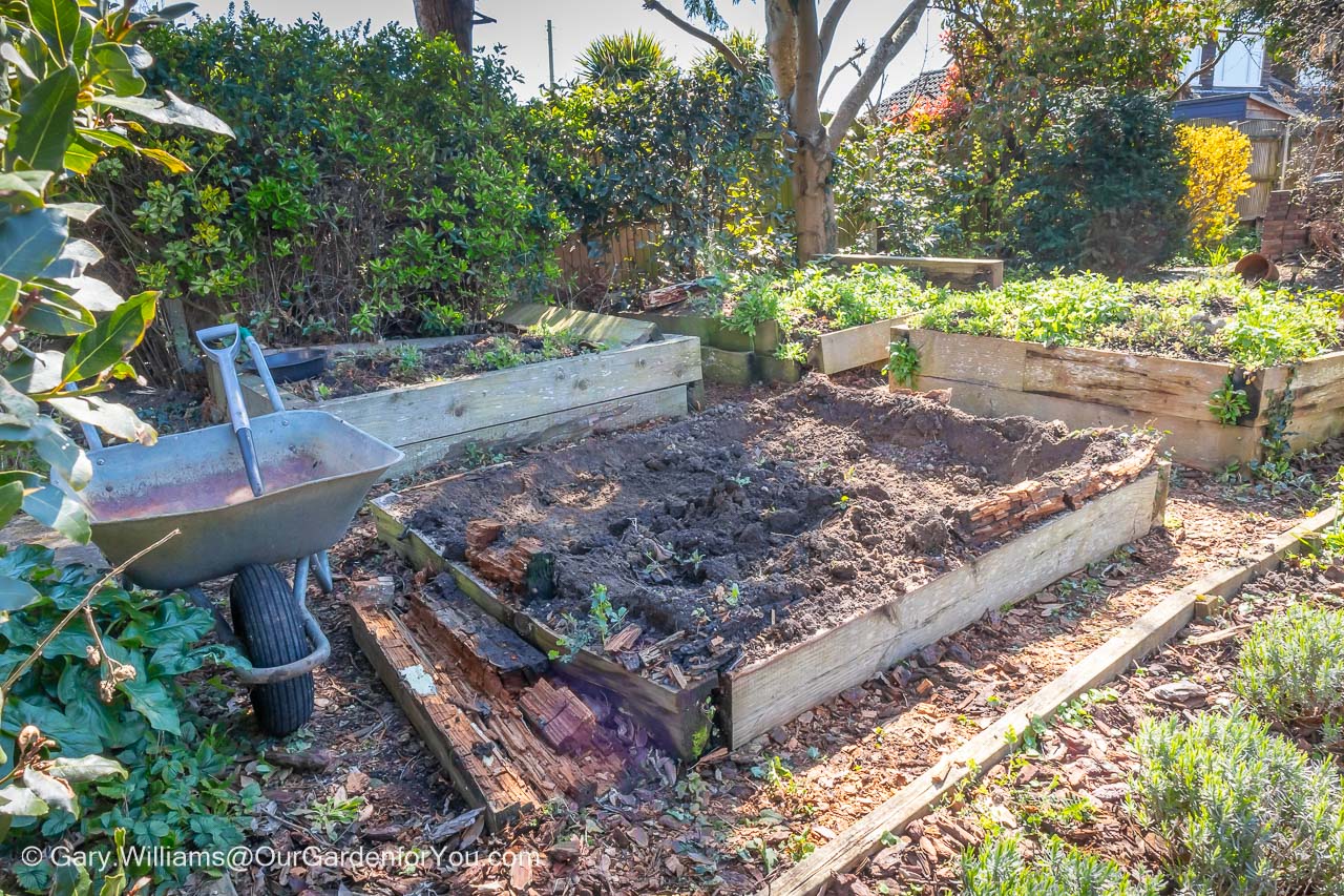 The partial removal of one of our four raised beds in an area of the garden we have yet to finalise.