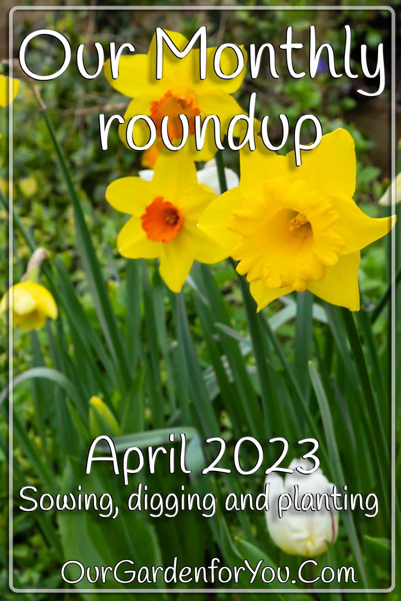 The Pin image for our post - 'April 2023, Our Garden for You monthly roundup'
