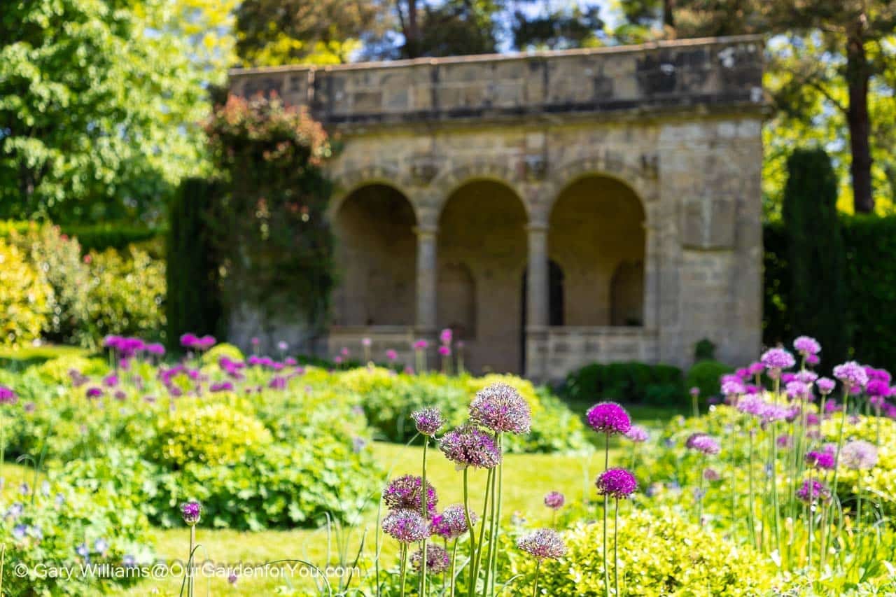 A smattering of purple alliums withing the circular sunken garden in front of a stone loggia at nymans house and gardens in west sussex