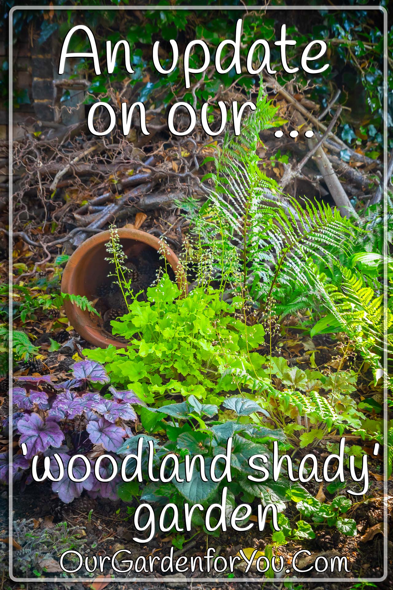 The Pin image for our post - 'An update on our ‘woodland shady’ garden '