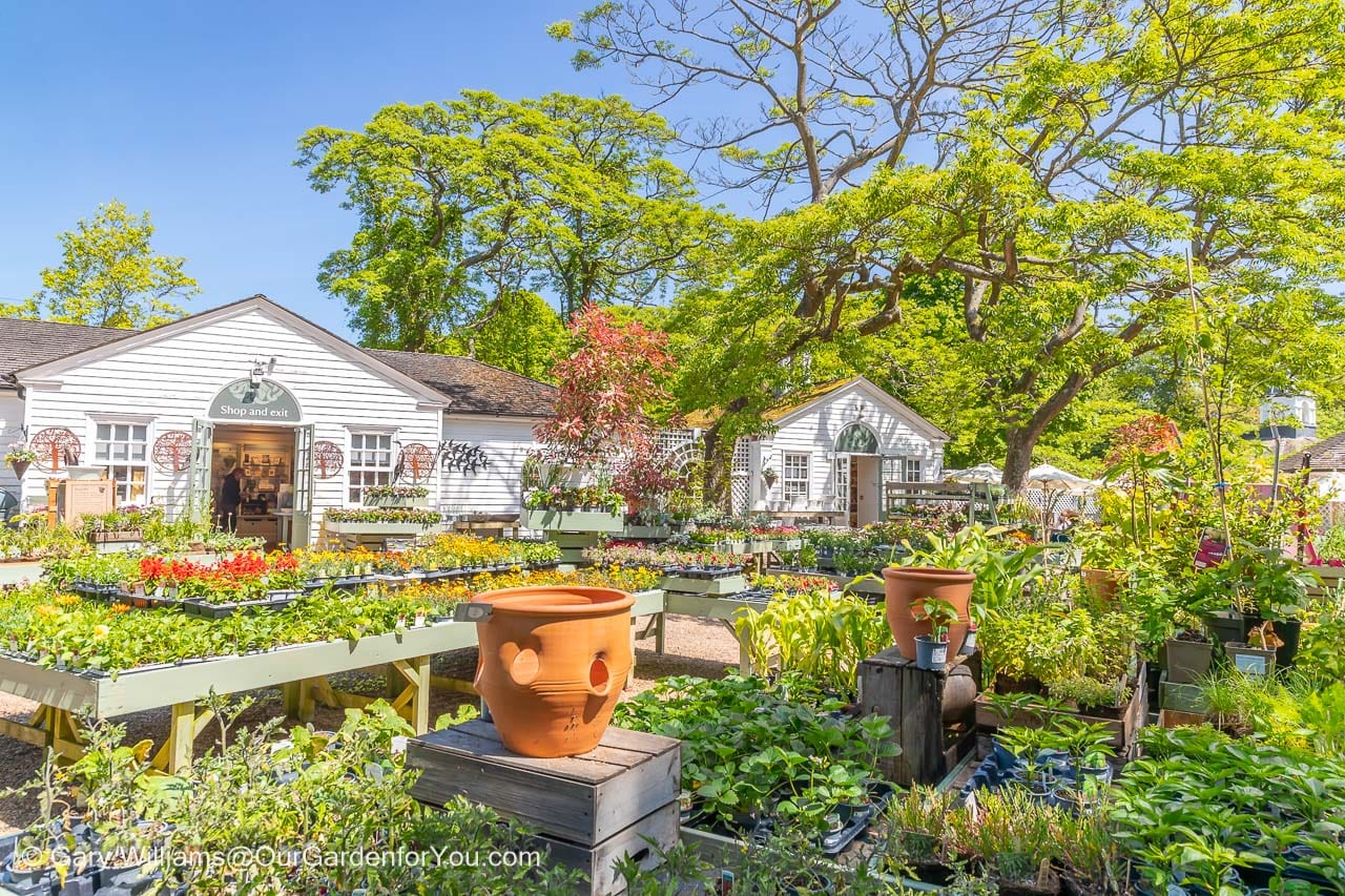 The well-stocked courtyard and garden shop at nymans in west sussex