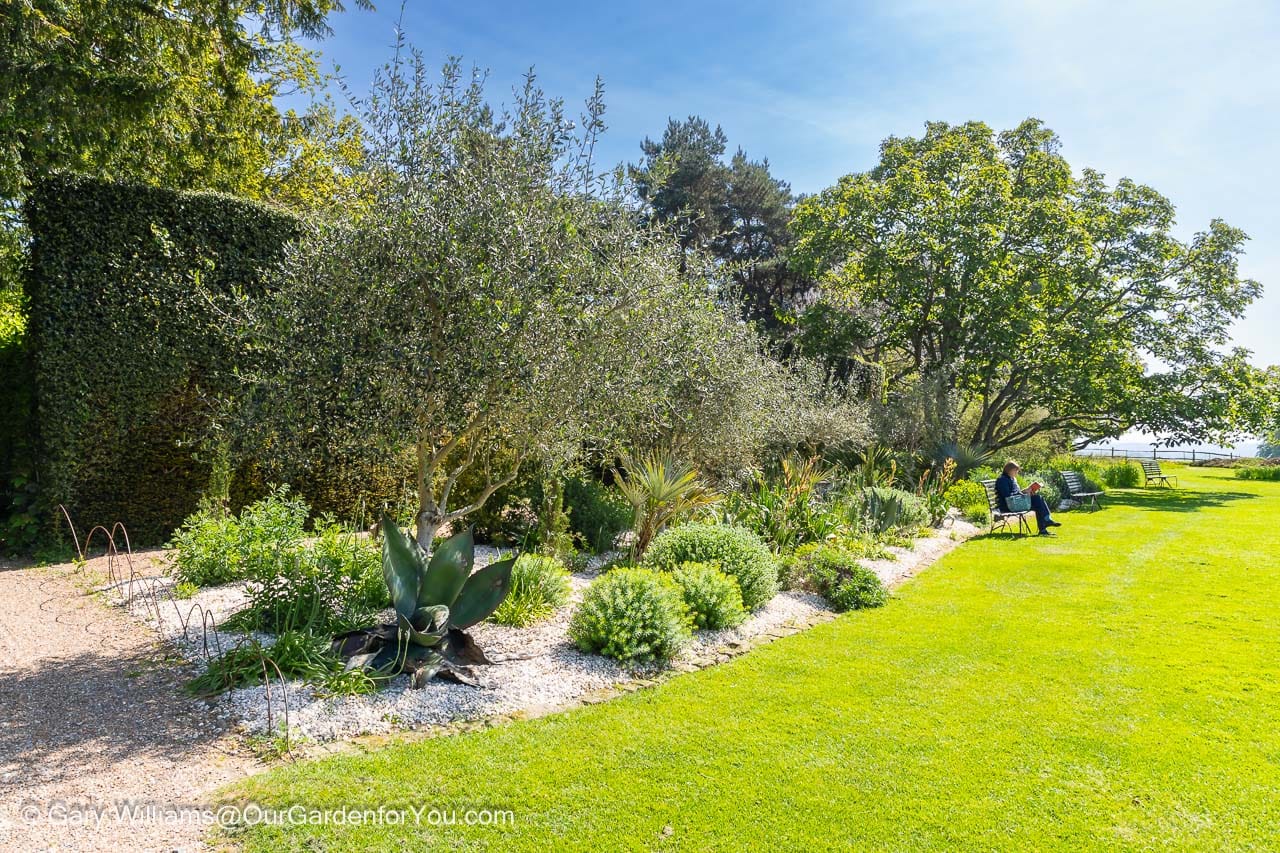 A curved bed packed with exotic plants at nymans house and gardens in west sussex