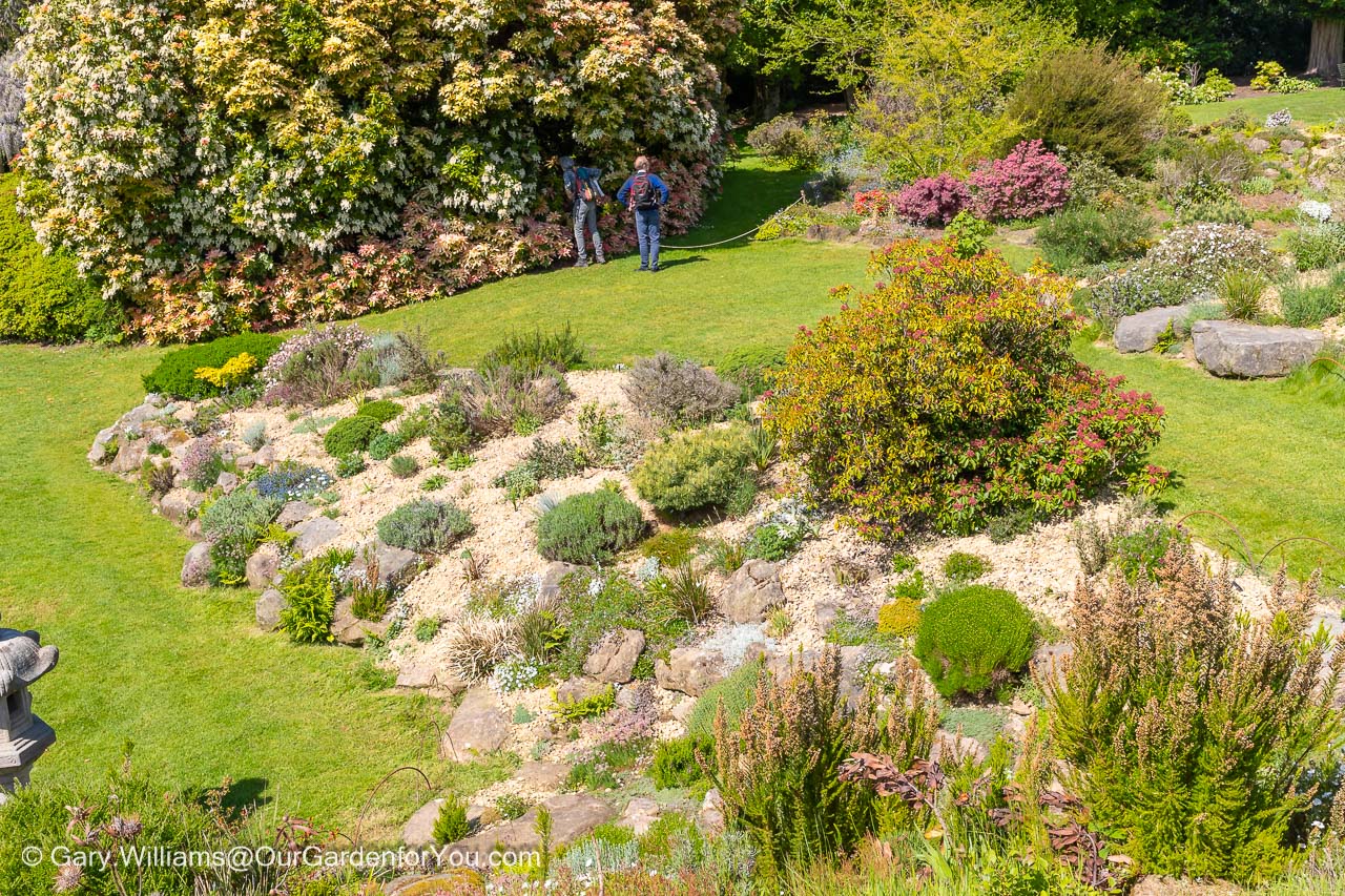 Looking down on the rock garden at nymans gardens in west sussex