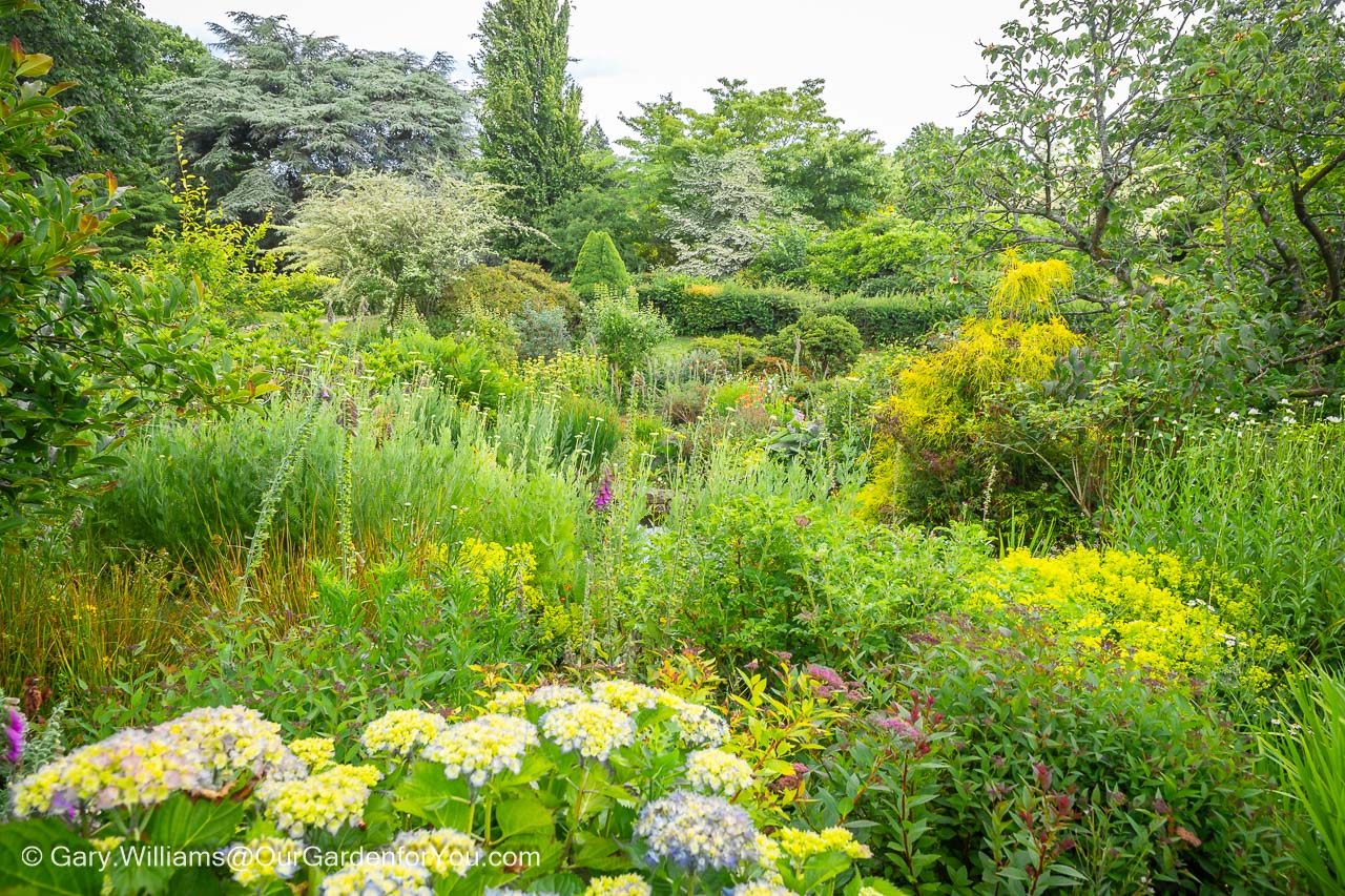 The lush cottage garden planting of the north garden at emmets gardens in kent