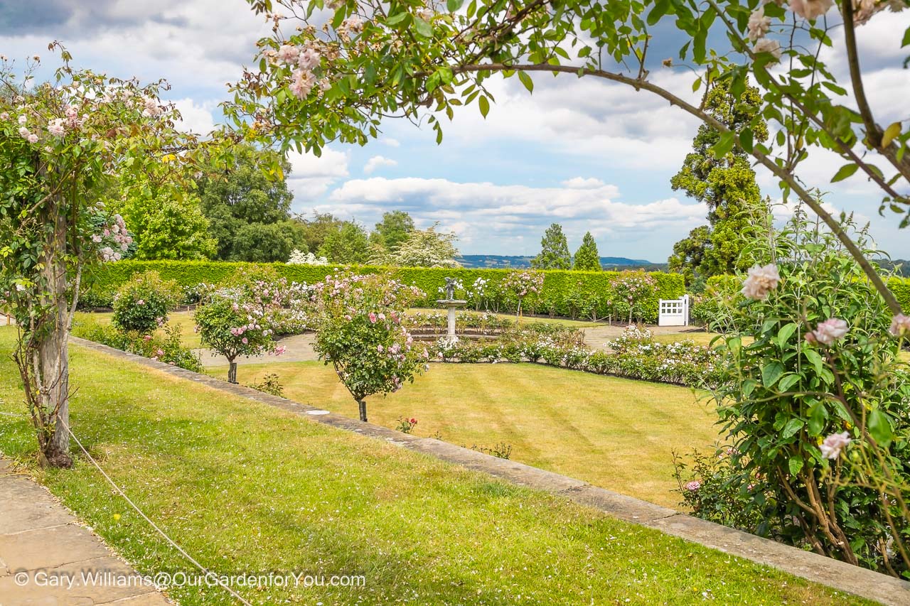 A view of the rose garden at emmett's to the countryside of the kent weald beyond