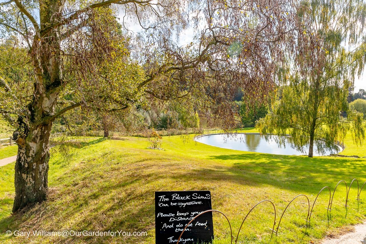 The outdoor swimming pool set within the green grass at Chartwell's